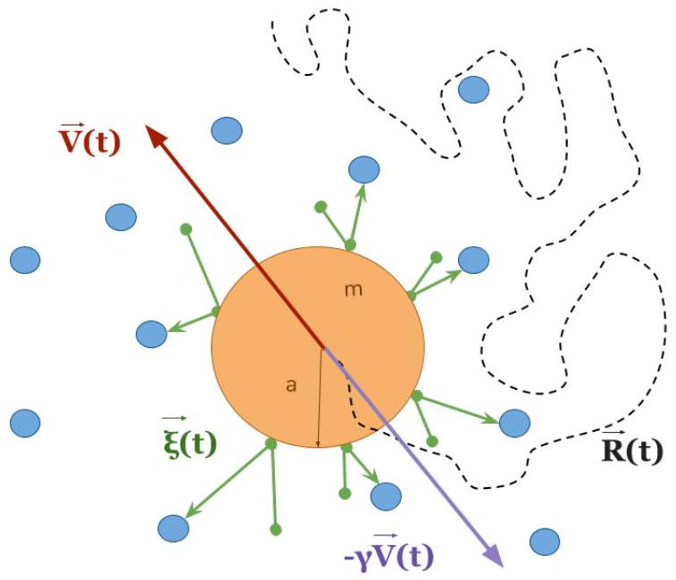 Figure 1 from the thesis
