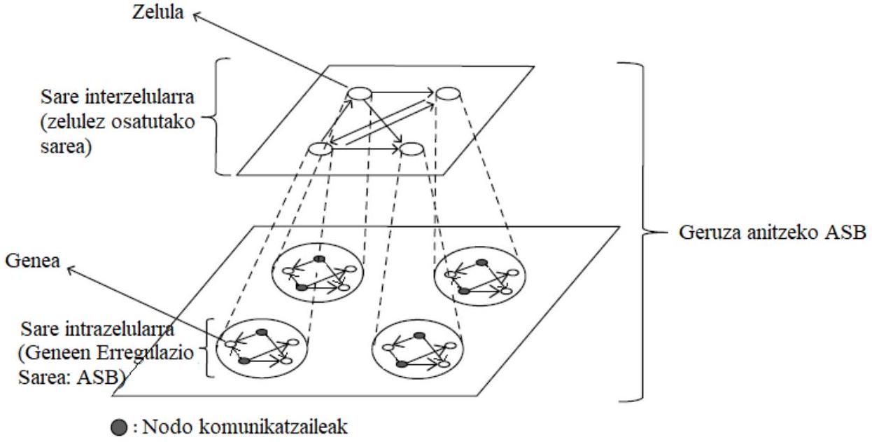 Figure 2 from the thesis
