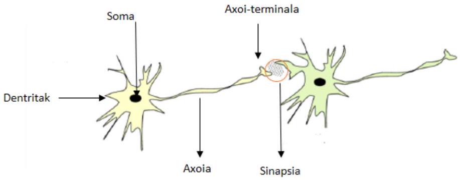 Figure 1 from the thesis